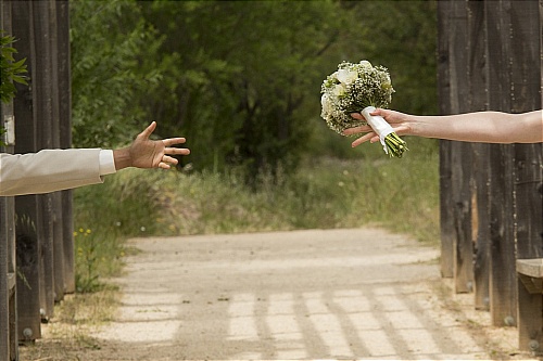 wedding photo